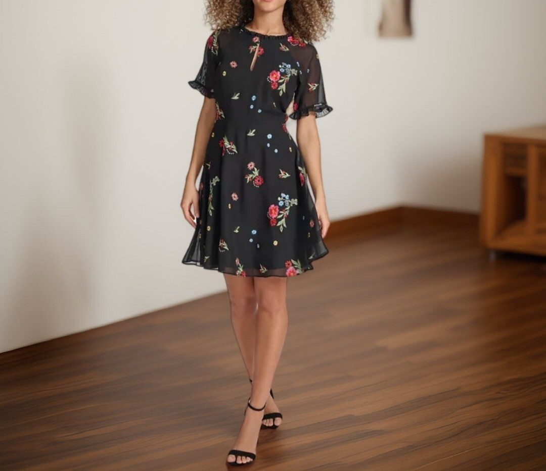 Kensie Embroidered Chiffon Mini Dress, 2 / Black Multi Kensie Embroidered Chiffon Mini Dress, 2 / Black Multi