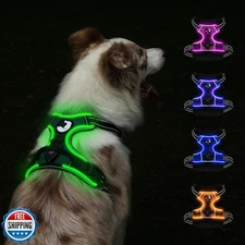 Taglory Light Up Dog Harness, Rechargeable No Pull Dog Vest with 3 Lightning 
