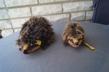 2 gepflegte,ältere Steiff Igel mit Fahne