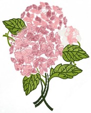 Fensterbild Sommer Plauener Spitze Fensterdekoration Sommer Hortensie Altrosa 22