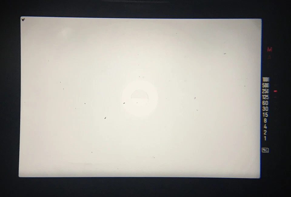 Strap [ MINT ] Minolta New X-700 Film Camera Body MD 50mm f1.7 Lens From JAPAN - Image 4 of 4