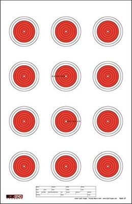 25 EZ2C Targets Style 27/RD10: Small-bore 50ft Paper Shooting Target 11''x17'' USA