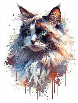 Foto A4 Katze Kunst Explosion Farben Poster Wandbild Katzenliebhaber Geschenk - 2093