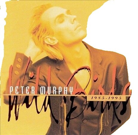 Should the World Fail to Fall Apart by Peter Murphy (CD, 2011