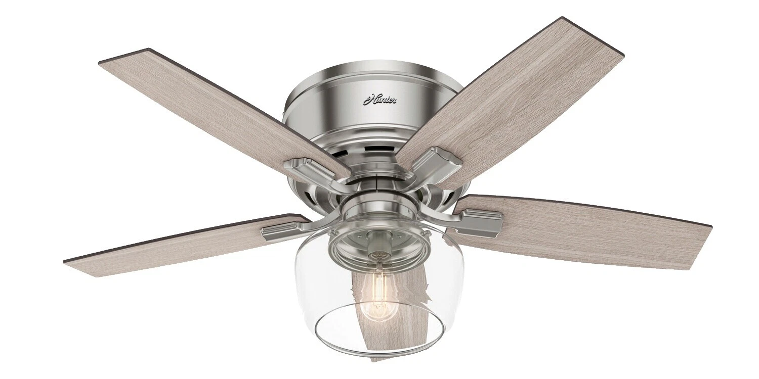 Hunter Glass Ceiling Fans with Light
