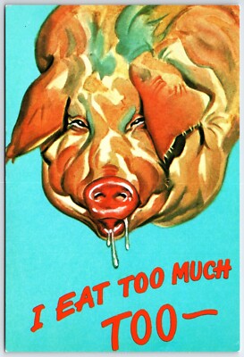 Pig Drooling ''I eat too much too'' Comic Bacon Ham advertising 4x6'' postcard