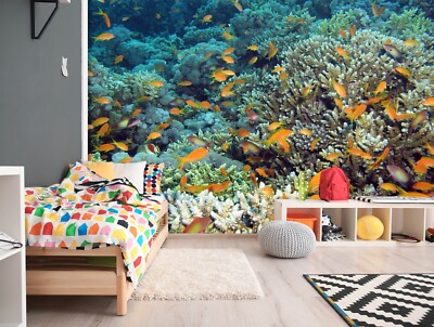 Papier peint corail | Univers sous-marin vibrant avec coraux colorés