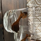 Vintage Couroc of Monterey Road Runner Old Fashioned 3 Pc Set Of Glasses — photo 2