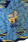 Phineas & Ferb POW Perry Platypus SPY 迪士尼 42 英寸 x 62 英寸窗帘板 (2) 两个