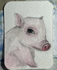 ACEO watercolor original miniature painting Close Up Pig Niftythingz