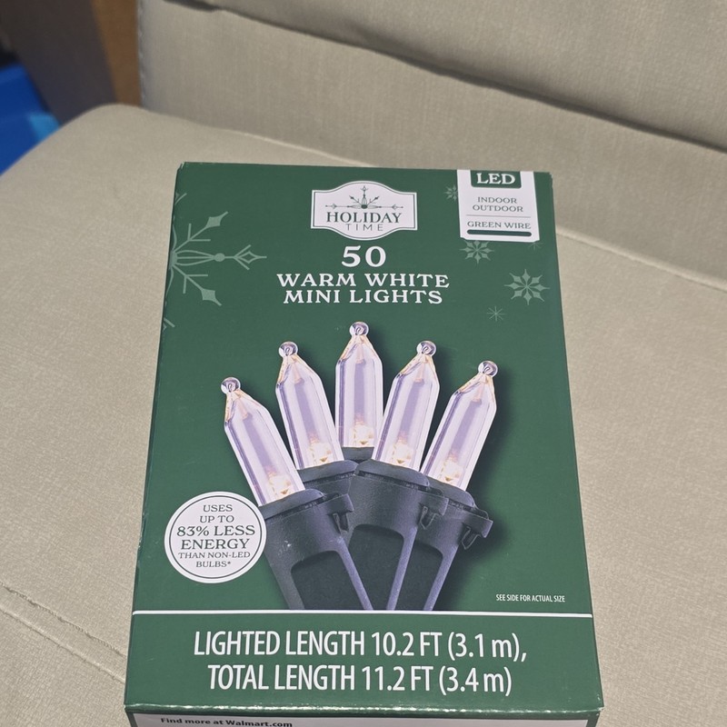 Holiday Time 50 Warm White LED Mini String Lights Indoor Outdoor 35 available 