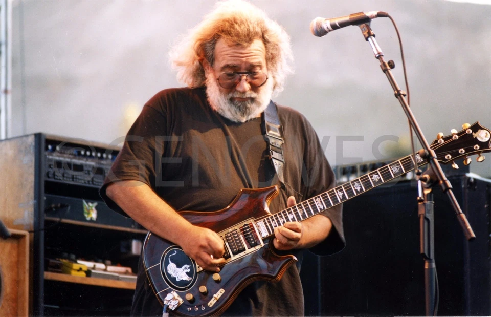 Jerry Garcia - Grateful Dead - 系列 - 12 - 16 x 20 英寸照片/海报 — 第 2/4 张图片
