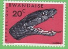 1967 BLACK MAMBA SNAKE STAMP RWANDA REPTILE ANIMAL WILDLIFE UNUSED POSTAGE MNH