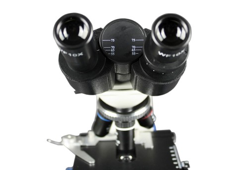 Microscopio compuesto binocular Vision Scientific VMU0005-B, ocular 10x WF - Imagen 6 de 7