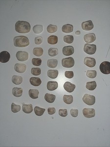 Lake Erie Lucky Stones Otolith Bones Crafts Decor Lot Of 42 Various Colors Sizes