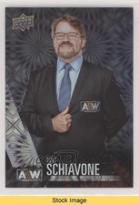 2021 Upper Deck AEW All Elite Wrestling Crew Pyro Tony Schiavone #79 READ 0n3d