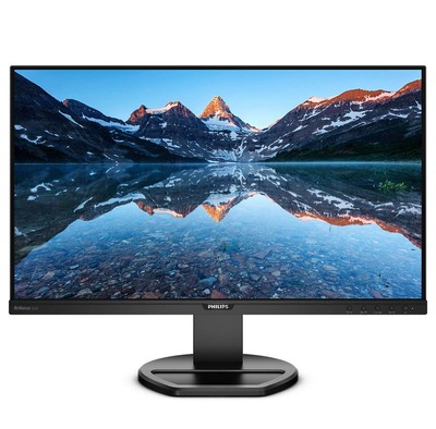 PHILIPS 252B9/00 63,5cm 25Zoll IPS 16:10 1920x1200 5ms VGA HDMI DVI DP USB-Hub S