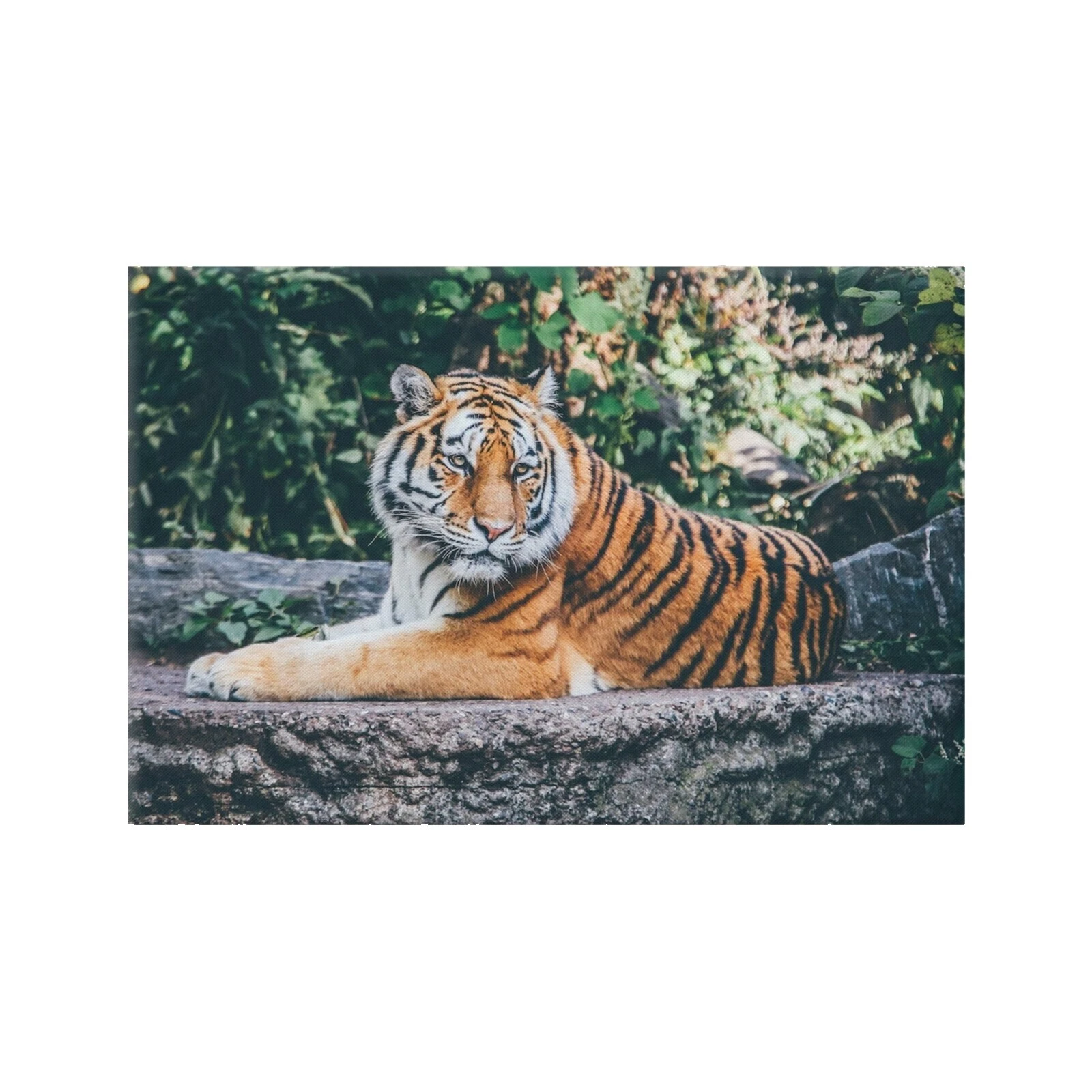 Reproduction Large Home Décor Posters & Prints