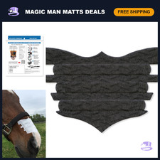 Equine Nasal Strips for Horses - 6 Pack, Adhesive Breathing Aid for Training & C