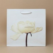 Gift Bags Flower Prints Roses Nature Party Weddings Birthdays All Sizes