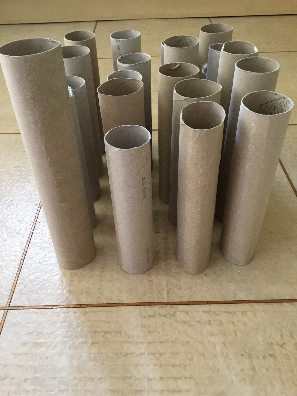 20 Empty Kitchen Paper Rolls Art Crafts Gardening Jokes Crackers Coat