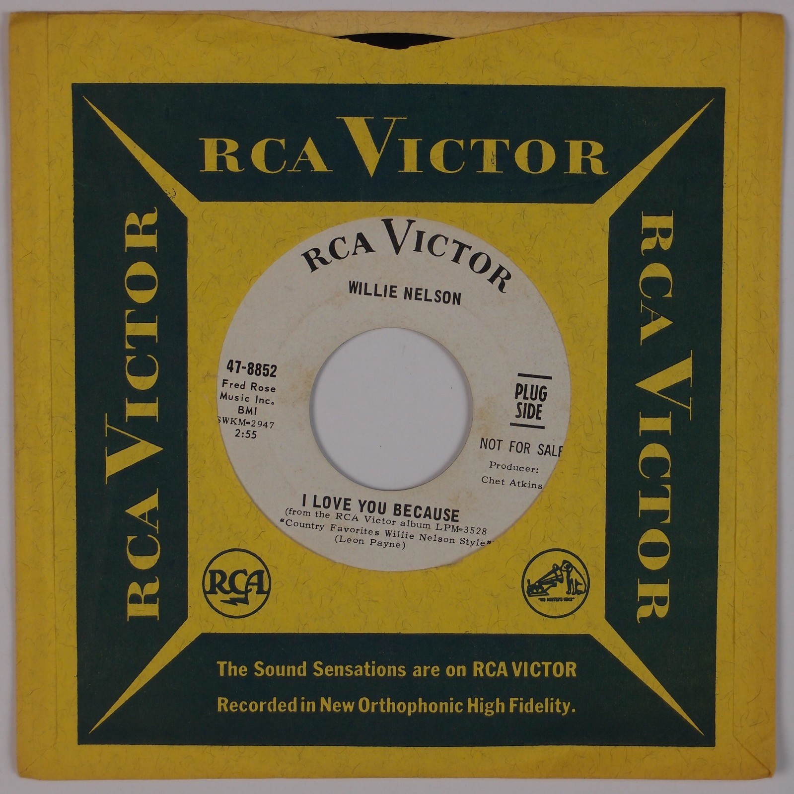 willie nelson i love you because