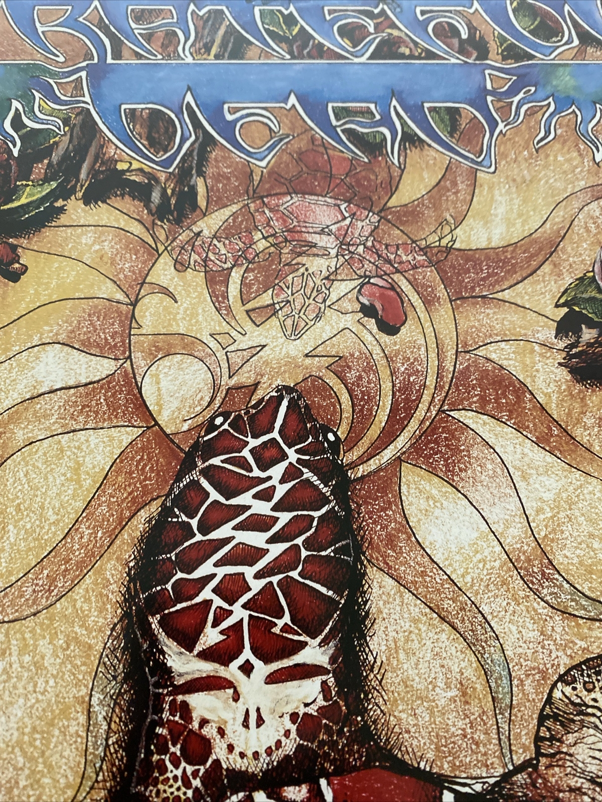 Grateful Dead 1995 Summer Tour Poster Original S/N # 3918/4500 