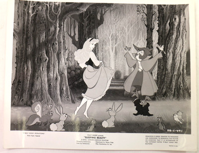 1959 Walt Disney Productions Sleeping Beauty SB-C-491  Studio 8x10 Photo