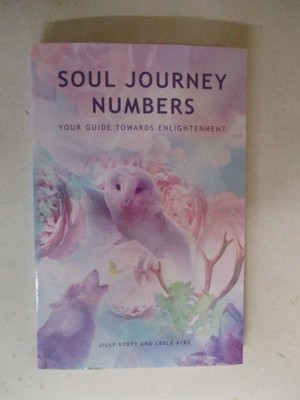Stott, Jilly: SOUL JOURNEY NUMBERS: YOUR GUIDE TOWARDS ENLIGHTENMENT SC Book
