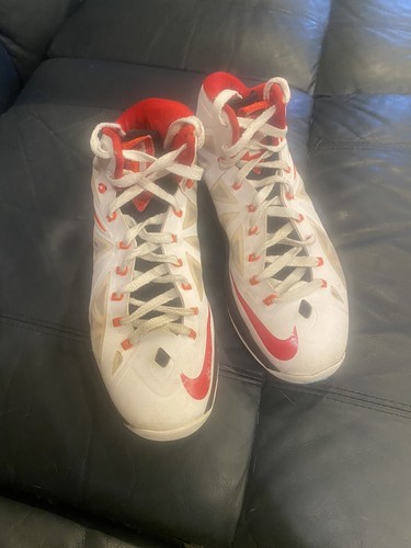 lebron flywire