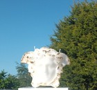 Bild 5 von 5