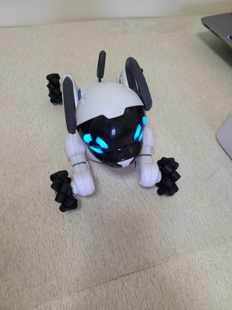 chip interactive dog