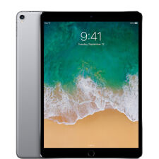 Apple iPad Pro 1st Gen. 256GB, Wi-Fi + 4G (Unlocked), 10.5 in 