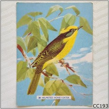 Sanitarium Australian Birds Animals #20 Helmeted Honeyeater Ceral Card A (CC193)