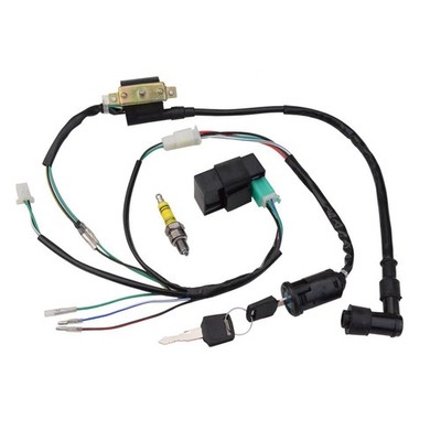 GOOFIT AC Zündung Rebuilt Kit Kabelbaum CDI Zündkerze Ersatz für... 
