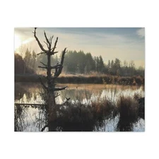 Canvas Stretched, Mystic Morning Wall Art, 0 75", Home Decor, Ready to
