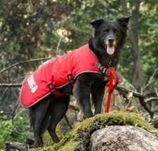 Kong Outerwear 80040332 Red Rip-Stop Blanket Jacket for Dogs, Size X-Small