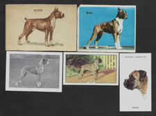 5 Different Vintage BOXER Tobacco/Cigarette/Tea Dog Cards Lot