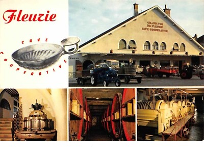 69 . Nr. 200633 . FLEURIE . LA CAVE COOPERATIVE LES VENDANGES. CPSM . 14,5 X