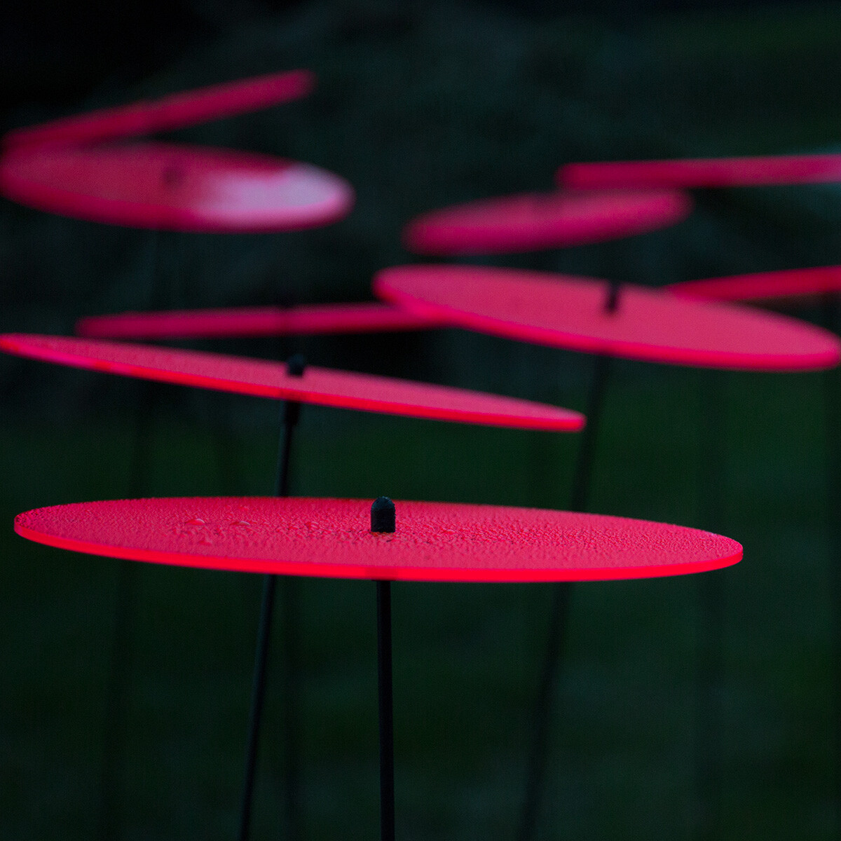 SUNPLAY Sonnenfänger-Set - 5 Fluoreszierende Palmenblätter, 20 Cm, In Blau, Gelb, Grün, Orange, Rot - Made In Germany