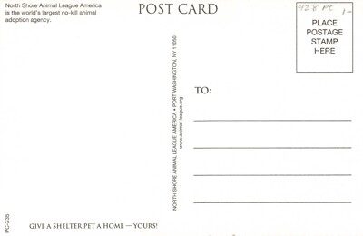 Postcard Dogs Puppy Lhasa Apso North Shore Animal League Shelter