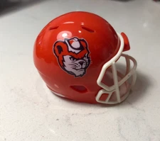 Sam Houston State Bearkats custom pocket pro helmet FBS C-USA new