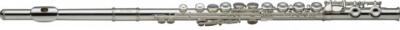 Stagg FL231 Standard C Flute with ABS Case, WS-FL231