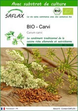 SAFLAX - BIO - Carvi - 800 graines - Avec substrat - Carum