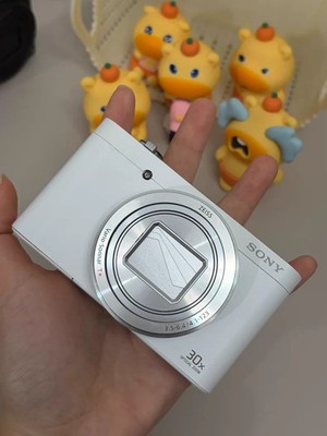 DSC-WX500 Cyber-shot SONY Sony ホワイト | Digital Camera 公式通販