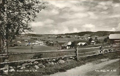 Ibach St Blasien Ortsblick
