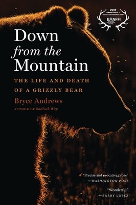 Down From The Mountain: The Life and Death of a Grizzly Bear   Evocative Nature