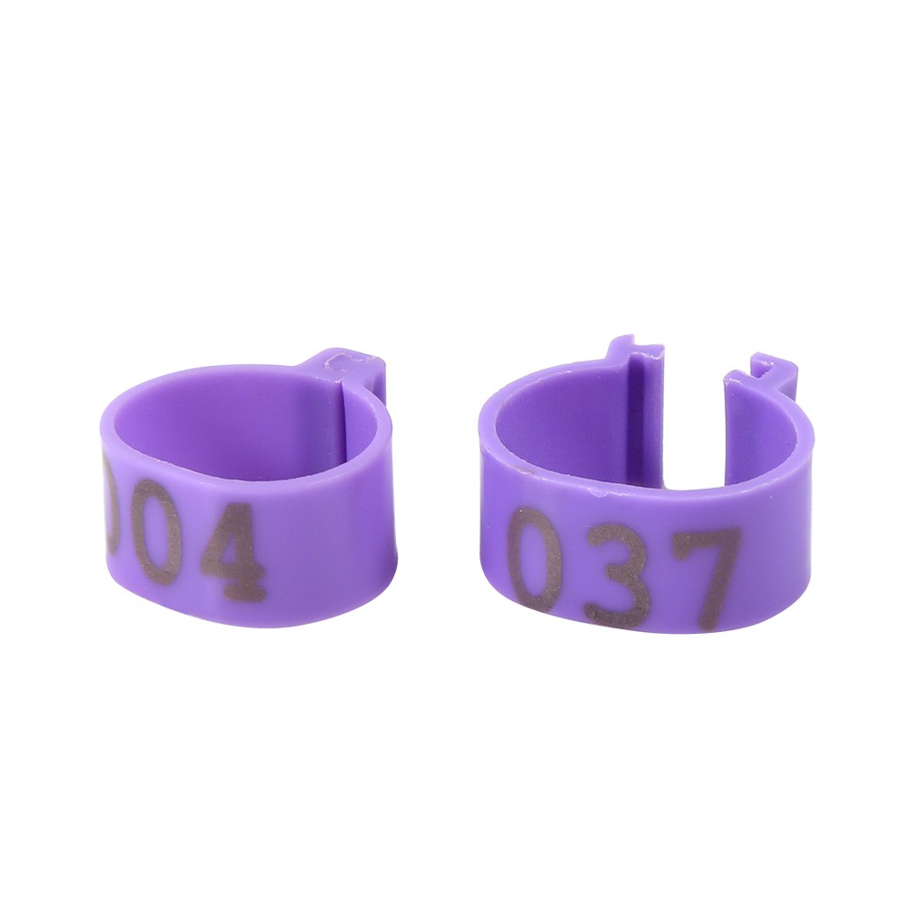 100PCS Durable Poultry Leg Rings For Breeding Operations