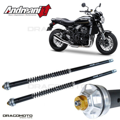 KAWASAKI Z 900 RS 2018-2024 cartridge ANDREANI 105/K27E MISANO EVO