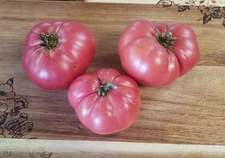 New Big Dwarf Tomato (20 seeds) - great beefsteak flavor!